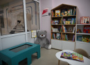 Книгополис