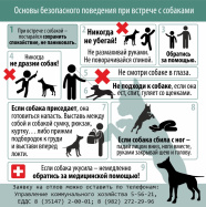  Внимание, жители Катав-Ивановского муниципального округа!